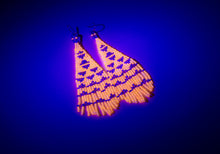 Load image into Gallery viewer, Nakawé