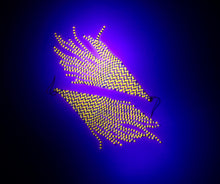 Load image into Gallery viewer, Inarú