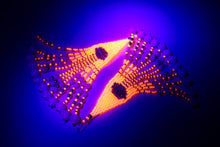 Load image into Gallery viewer, Onawa