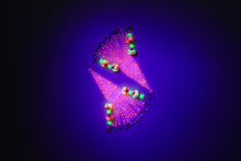 Load image into Gallery viewer, Pachamama