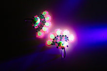 Load image into Gallery viewer, Anahí